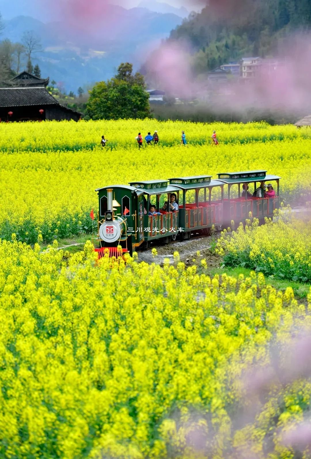 网红小火车成为景区农庄的新特点